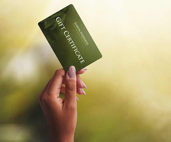 Edrom Nurseries Gift Card